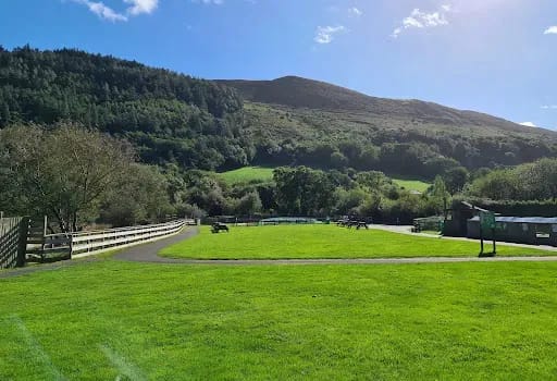 Curraghs Wildlife Park: Mangrove Cafe