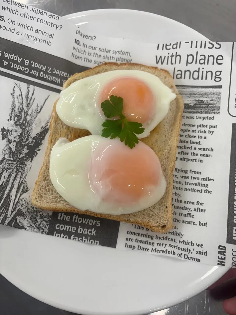 2 poached eggs on toast